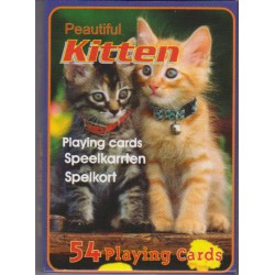 Τράπουλα: Kitty Cats, Beautiful Cats, Kitten