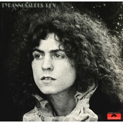 Tyrannosaurus Rex – A Beard Of Stars LP