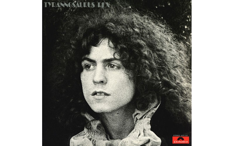 Tyrannosaurus Rex – A Beard Of Stars LP