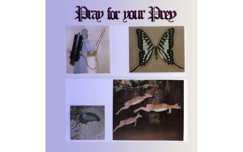 Pray for your pray (12' Vinyl)