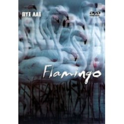 Πυξ Λαξ - Flamingo