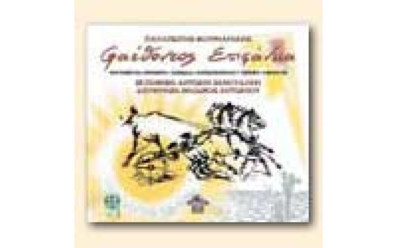 Φουρναράκης & Σανουδάκης - Φαέθοντος επιφάνεια